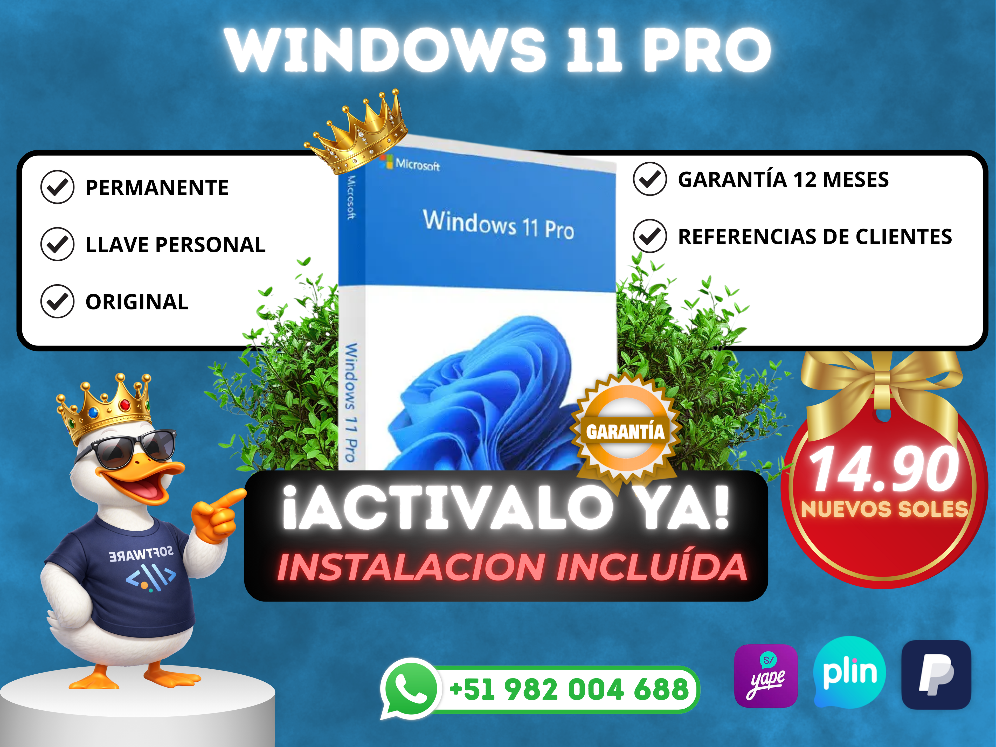 WINDOWS 11 PRO